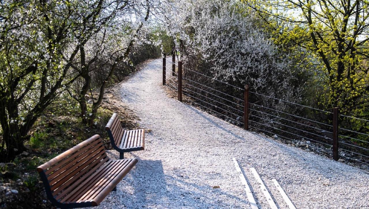 克拉科夫Apartament Park Zakrzowek公寓 外观 照片